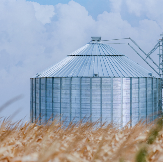 Controlled Atmosphere (Granary)